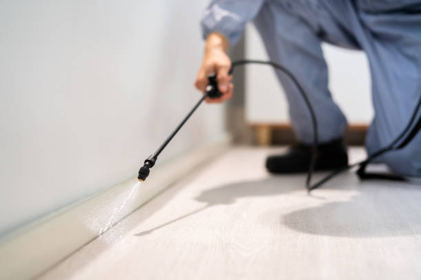 Licensed Fumigation Services service in Davis, CA - Nex Pest Control