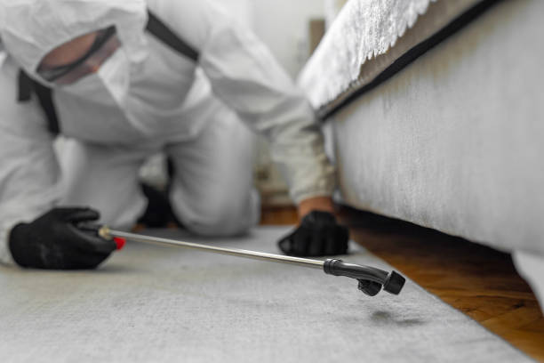 Professional Fumigation Services technician working in Davis, CA