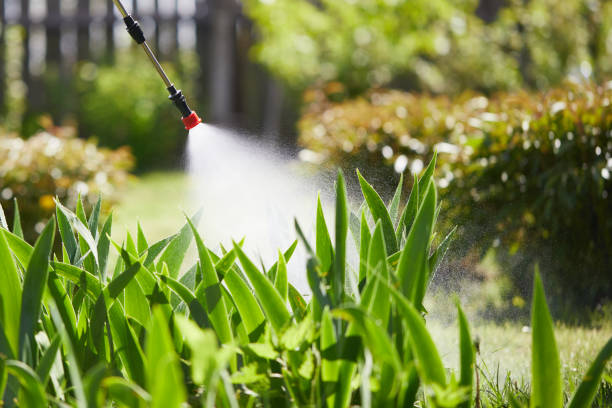 24/7 Emergency Fumigation Services experts in Davis, CA
