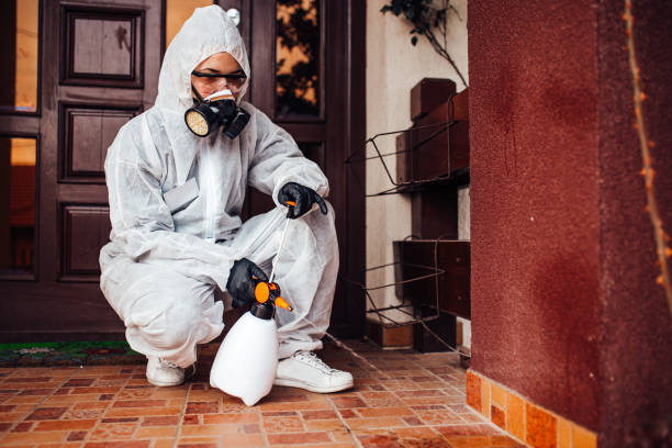 Reliable Fumigation Services contractor in Davis, CA by Nex Pest Control