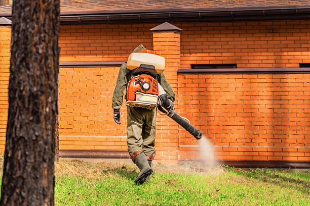 Top rated local Fumigation Services specialists in Davis, CA